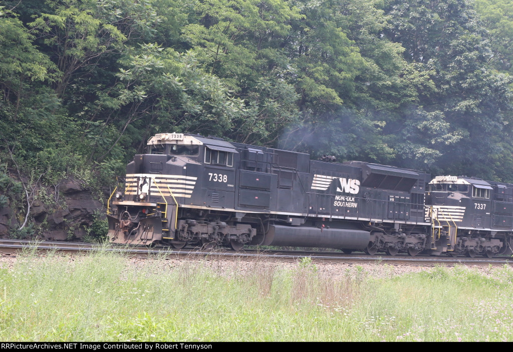 NS 7338